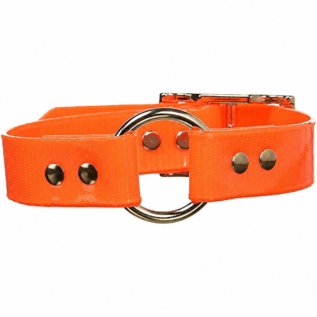 Sunglo Restricting Collar-Pet Supply-Orange-19"-Kevin's Fine Outdoor Gear & Apparel
