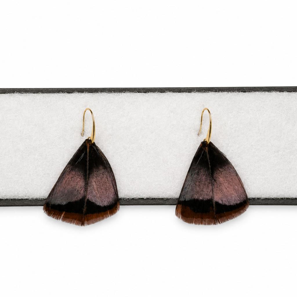 Turkey Feather Earrings-Women's Accessories-Single Row-Kevin's Fine Outdoor Gear & Apparel
