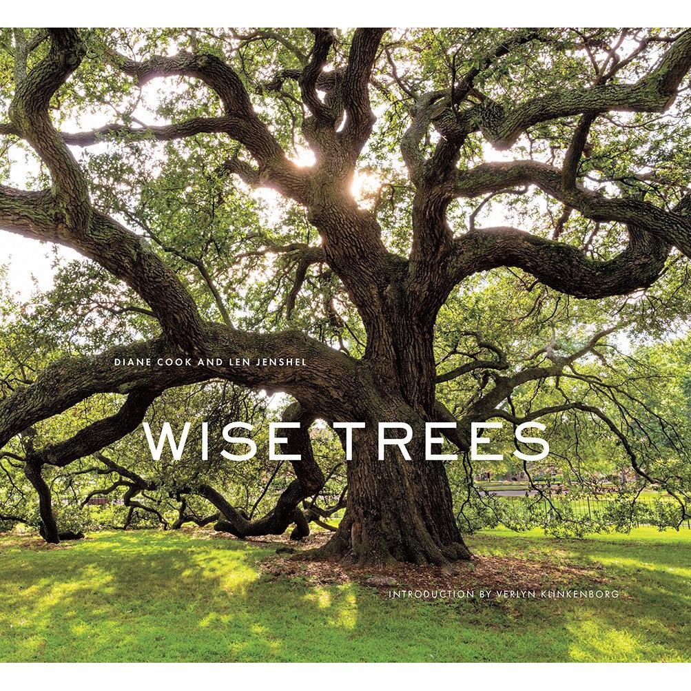 Wise Trees-Media-Kevin's Fine Outdoor Gear & Apparel