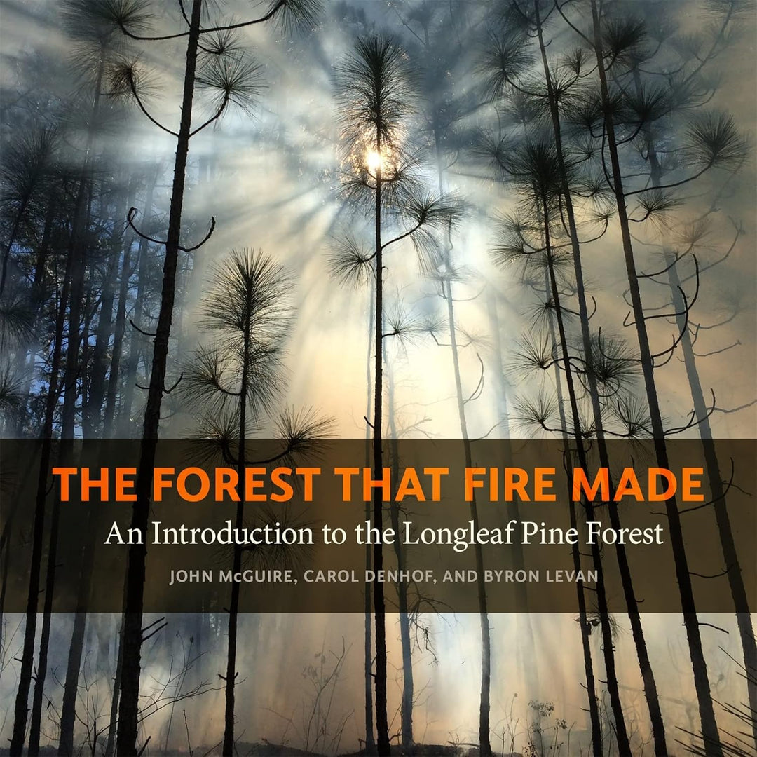 The Forest That Fire Made-Media-Kevin's Fine Outdoor Gear & Apparel