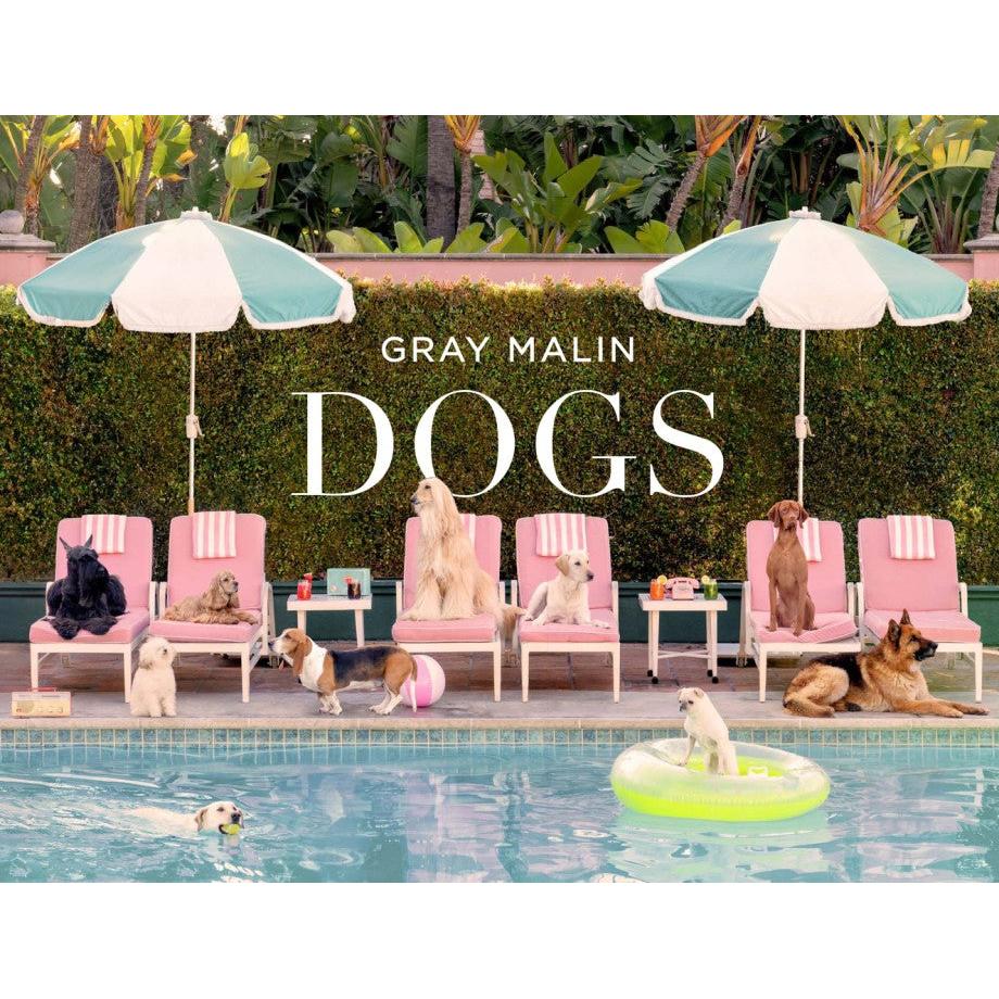 Gray Malin: Dogs-Media-Kevin's Fine Outdoor Gear & Apparel