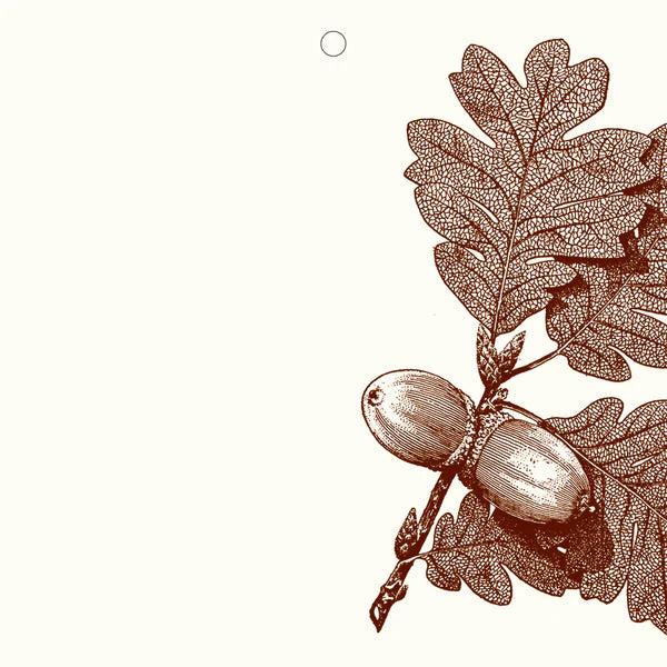 Alexa Pulitzer Gift Tags/Cards-Home/Giftware-Kevin's Fine Outdoor Gear & Apparel