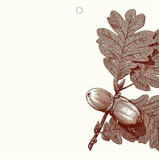 Alexa Pulitzer Gift Tags/Cards-Home/Giftware-Kevin's Fine Outdoor Gear & Apparel