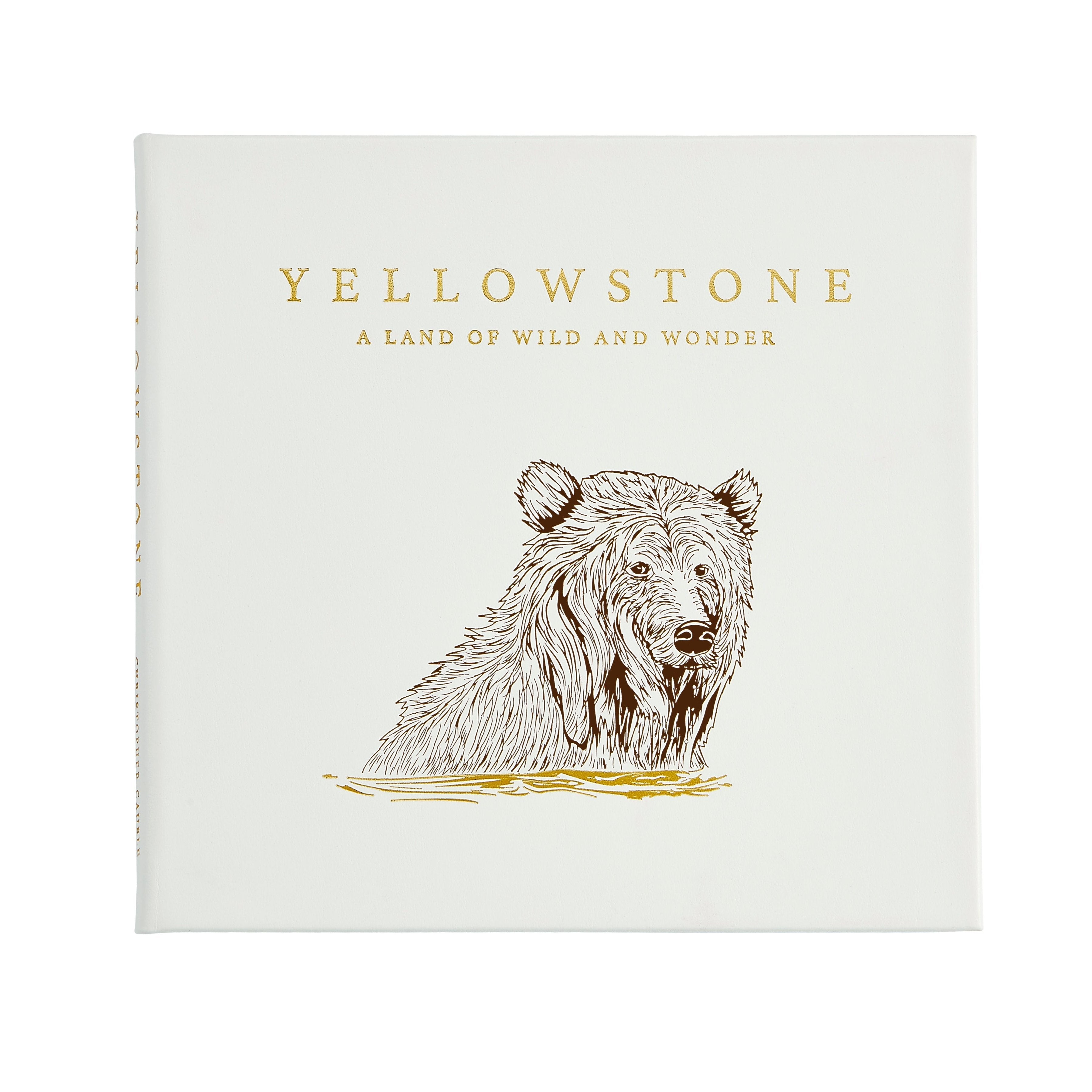 Yellowstone A Land of the Wild and Wonder Kevin's Catalog Kevin's