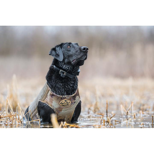 Rig 'Em Right Bloodline Dog Vest-Hunting/Outdoors-Kevin's Fine Outdoor Gear & Apparel