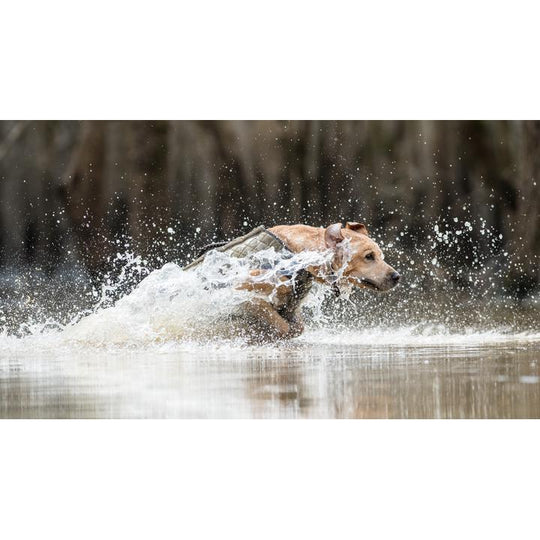 Rig 'Em Right Bloodline Dog Vest-Hunting/Outdoors-Kevin's Fine Outdoor Gear & Apparel