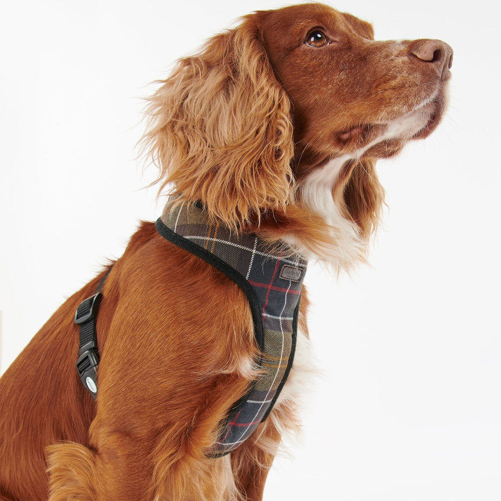 Barbour Dog Harness-Pet Supply-Kevin's Fine Outdoor Gear & Apparel