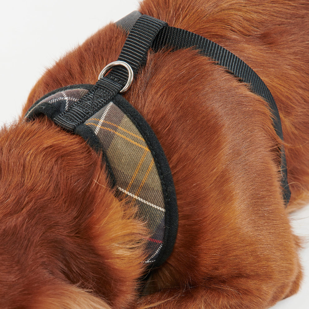 Barbour Dog Harness-Pet Supply-Kevin's Fine Outdoor Gear & Apparel