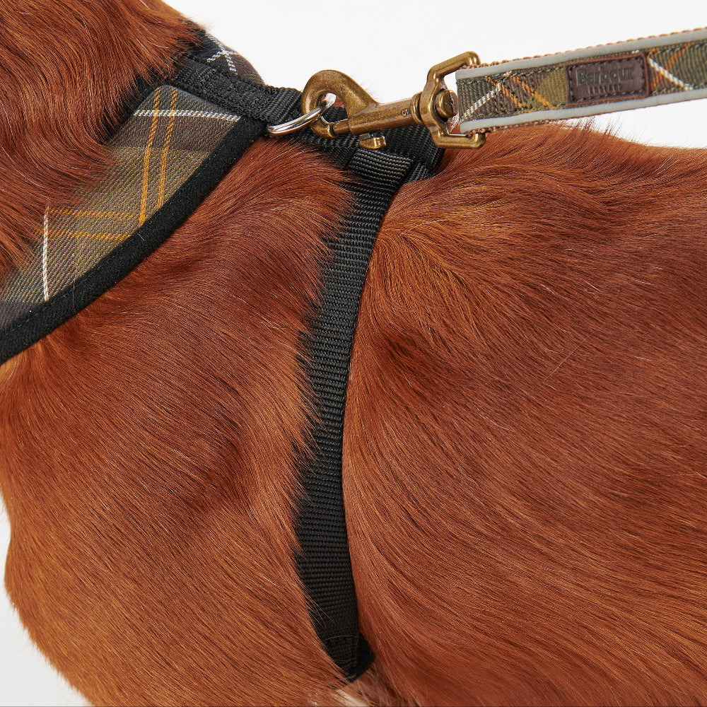 Barbour Dog Harness-Pet Supply-Kevin's Fine Outdoor Gear & Apparel