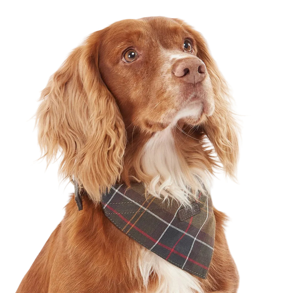 Barbour Dog Bandana-Pet Supply-Kevin's Fine Outdoor Gear & Apparel