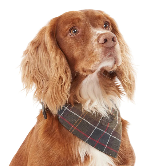 Barbour Dog Bandana-Pet Supply-Kevin's Fine Outdoor Gear & Apparel