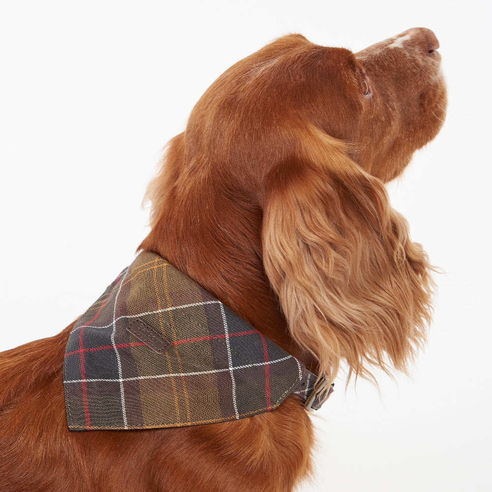 Barbour Dog Bandana-Pet Supply-Kevin's Fine Outdoor Gear & Apparel