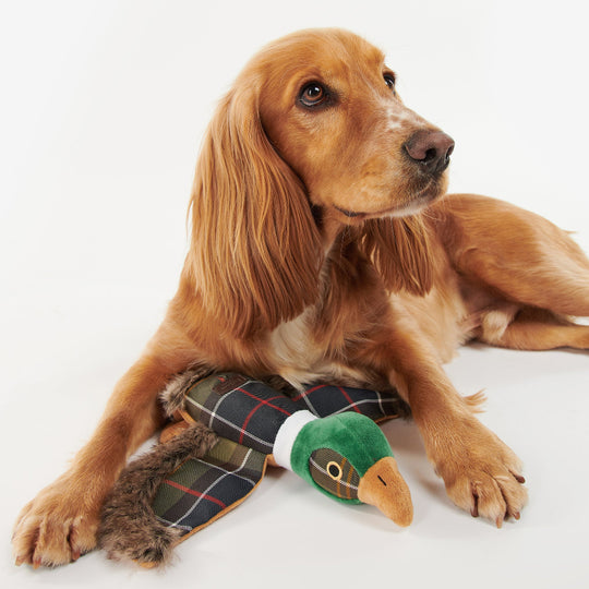 Barbour Pheasant Dog Toy-Pet Supply-Kevin's Fine Outdoor Gear & Apparel