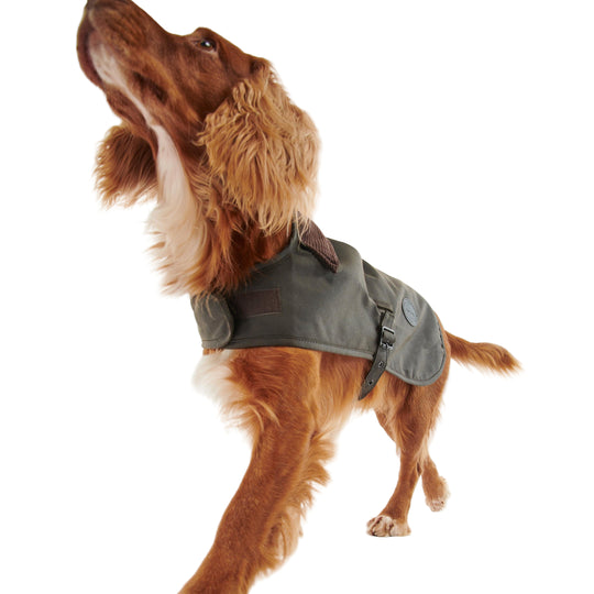 Barbour Waxed Dog Coat-Pet Supply-Kevin's Fine Outdoor Gear & Apparel