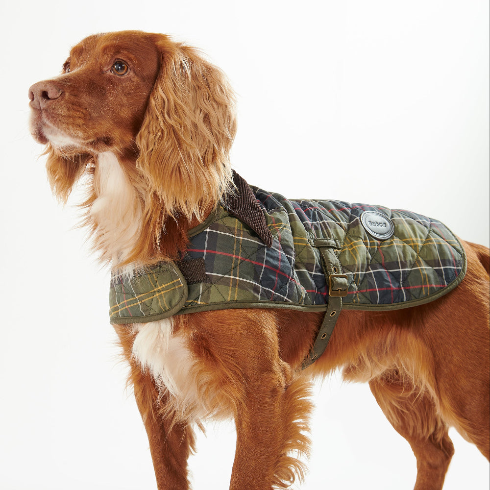 Tartan Dog Coat by Barbour | Kevin's Catalog – Kevin's Fine