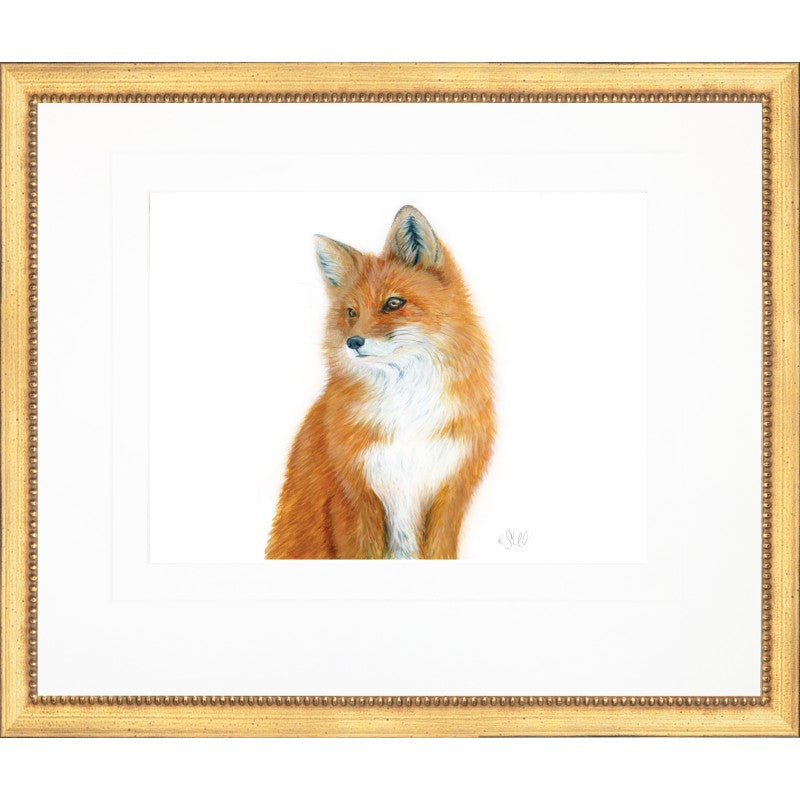 Fox Bust Framed Print-Home/Giftware-Kevin's Fine Outdoor Gear & Apparel