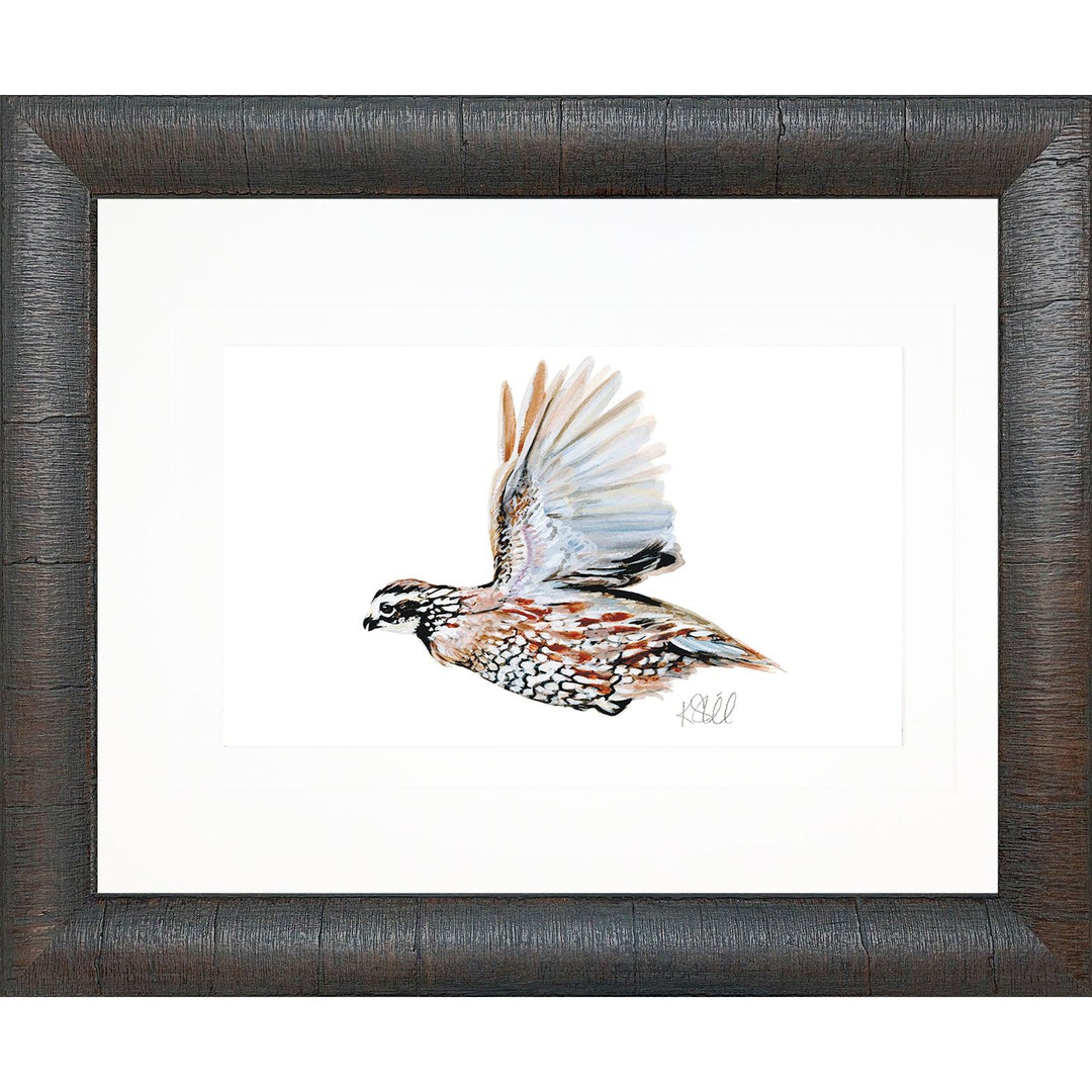 Framed Sporting Prints-Home/Giftware-Bobwhite Quail In Flight-Kevin's Fine Outdoor Gear & Apparel
