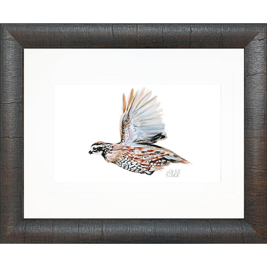 Framed Sporting Prints-Home/Giftware-Bobwhite Quail In Flight-Kevin's Fine Outdoor Gear & Apparel