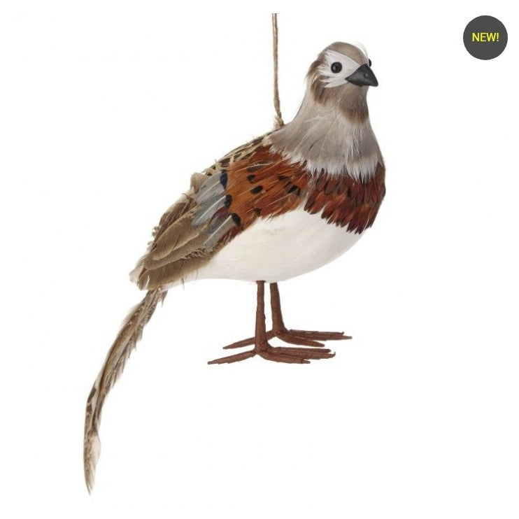 10.5" Feather Highlands Quail Ornament-Home/Giftware-Kevin's Fine Outdoor Gear & Apparel