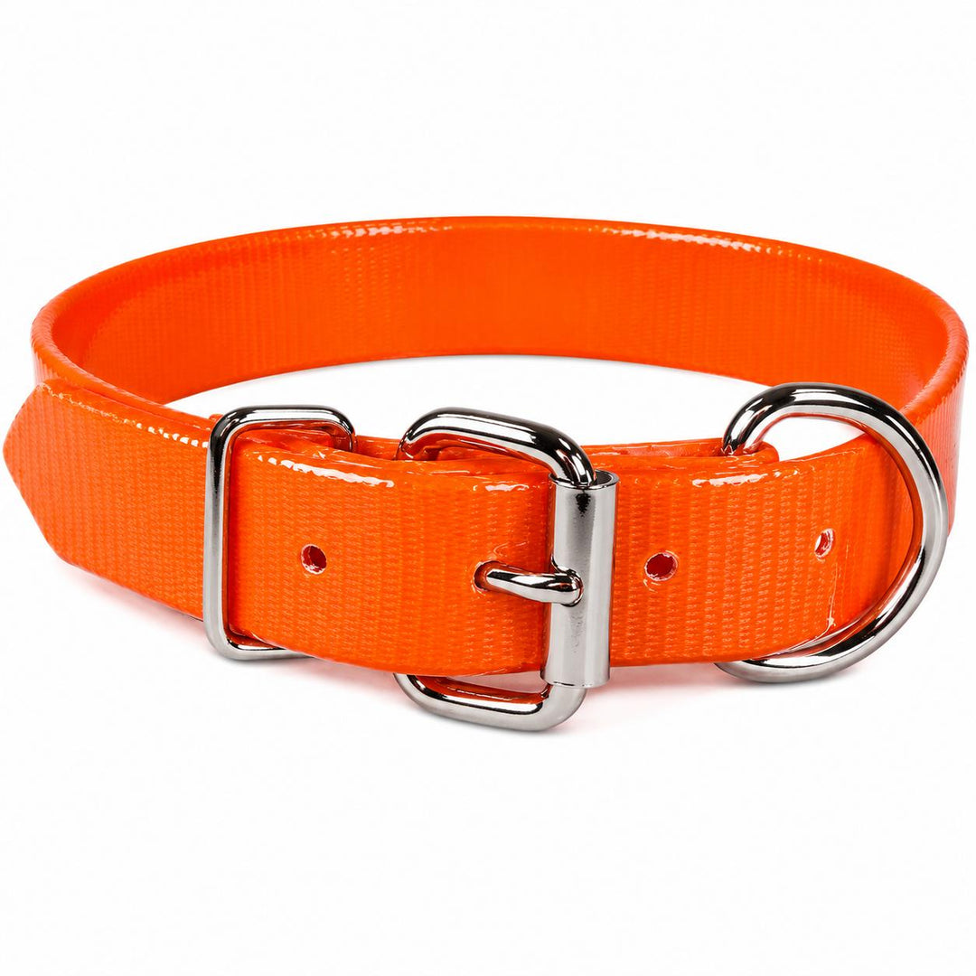 Sunglo Hundehalsband – 3/4