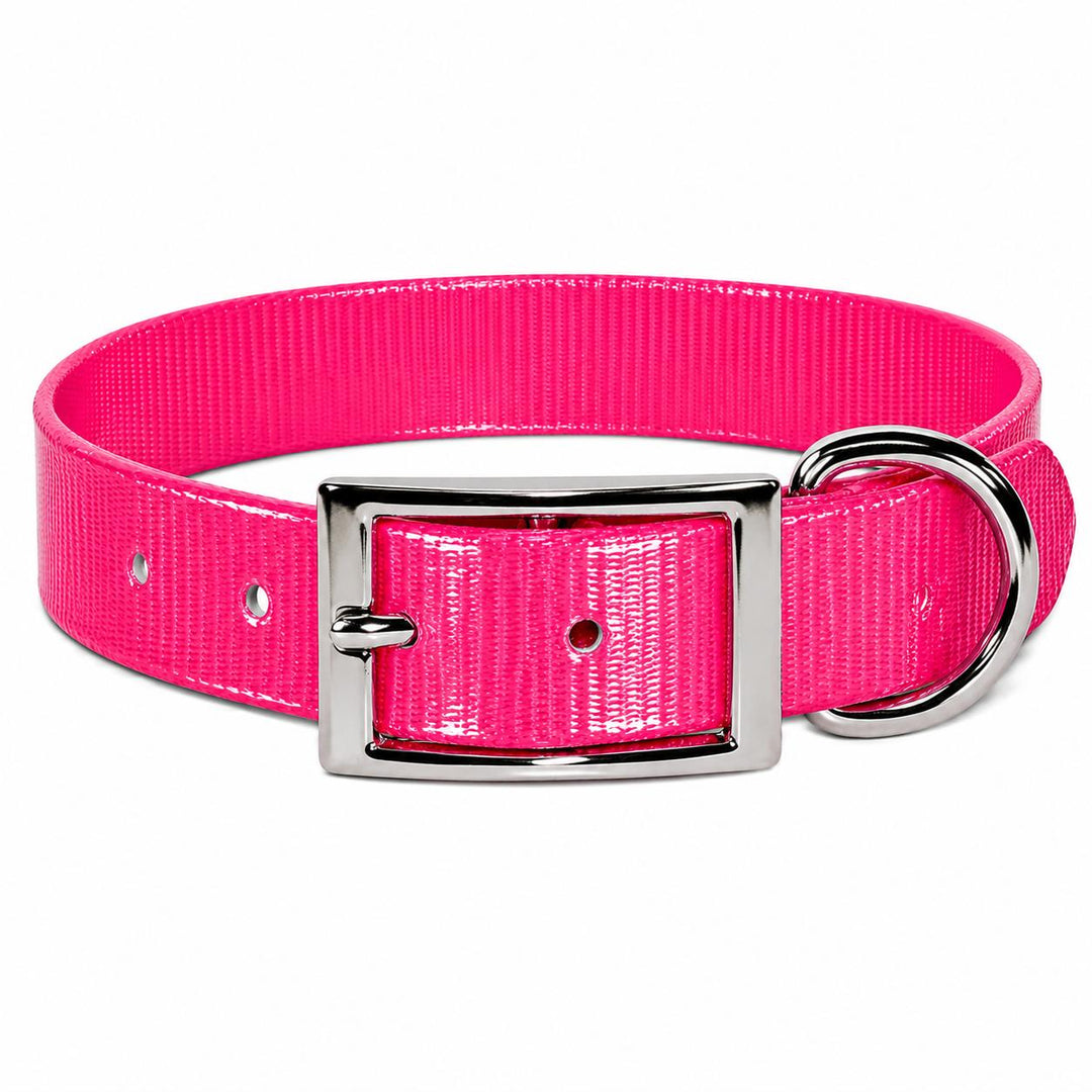 Sunglo Dog Collar - 1"-Pet Supply-Pink-19"-Kevin's Fine Outdoor Gear & Apparel