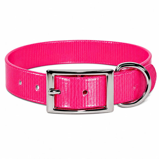 Sunglo Dog Collar - 1"-Pet Supply-Pink-19"-Kevin's Fine Outdoor Gear & Apparel