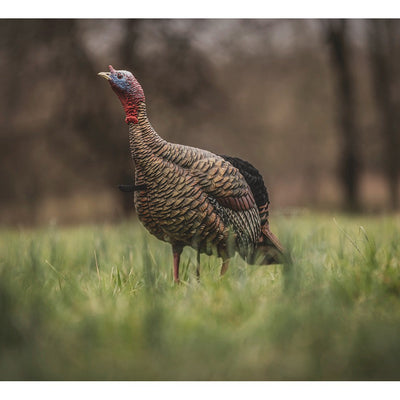 Avian AVX HDR Jake Decoy-Hunting/Outdoors-Kevin's Fine Outdoor Gear & Apparel