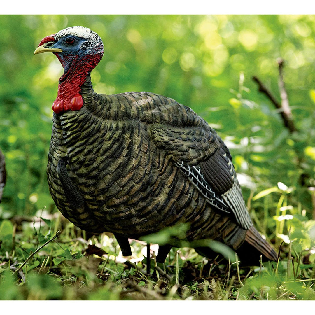 Avian X LCD Quarter-Strut Jake Decoy-Hunting/Outdoors-Kevin's Fine Outdoor Gear & Apparel