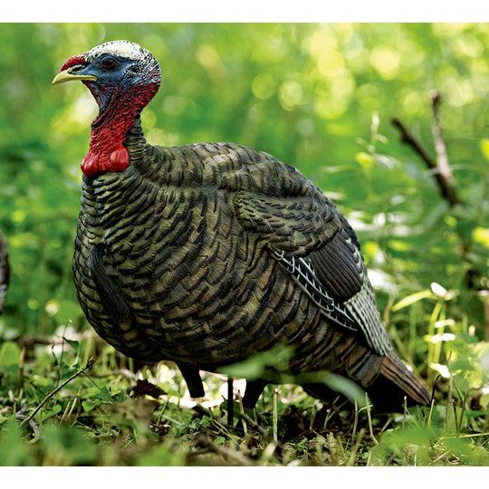 Avian X LCD Quarter-Strut Jake Decoy-Hunting/Outdoors-Kevin's Fine Outdoor Gear & Apparel