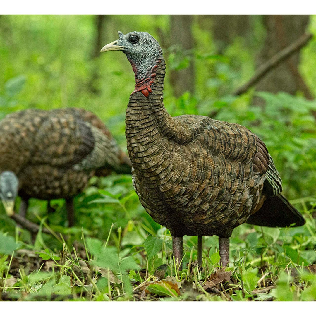 Avian X Lookout Hen Trky Decoy-Hunting/Outdoors-Kevin's Fine Outdoor Gear & Apparel