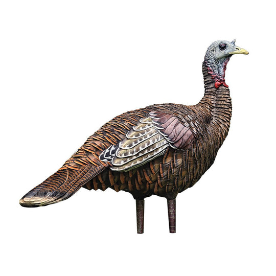 Avian X Lookout Hen Trky Decoy-Hunting/Outdoors-Kevin's Fine Outdoor Gear & Apparel