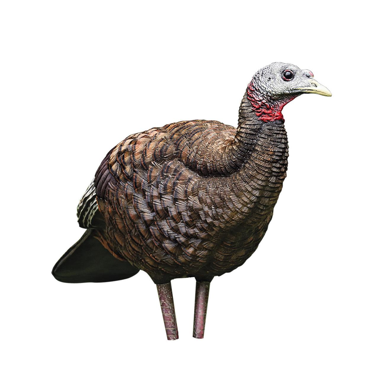 Avian X LCD Breeder Hen Turkey Decoy-Hunting/Outdoors-Kevin's Fine Outdoor Gear & Apparel