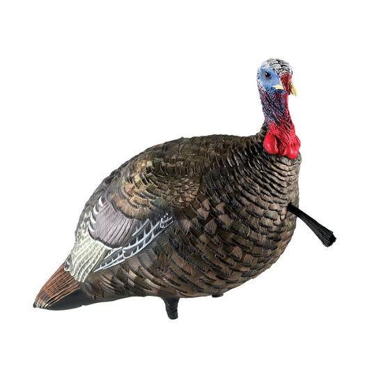 Avian X LCD Quarter-Strut Jake Decoy-Hunting/Outdoors-Kevin's Fine Outdoor Gear & Apparel
