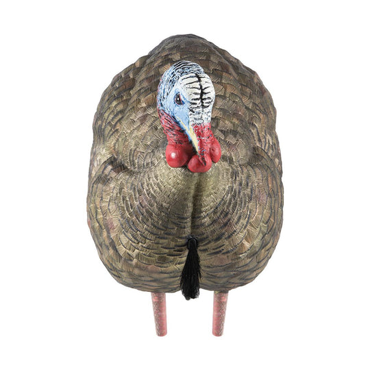Avian X LCD 1/2 Strut Jake Decoy-Hunting/Outdoors-Kevin's Fine Outdoor Gear & Apparel
