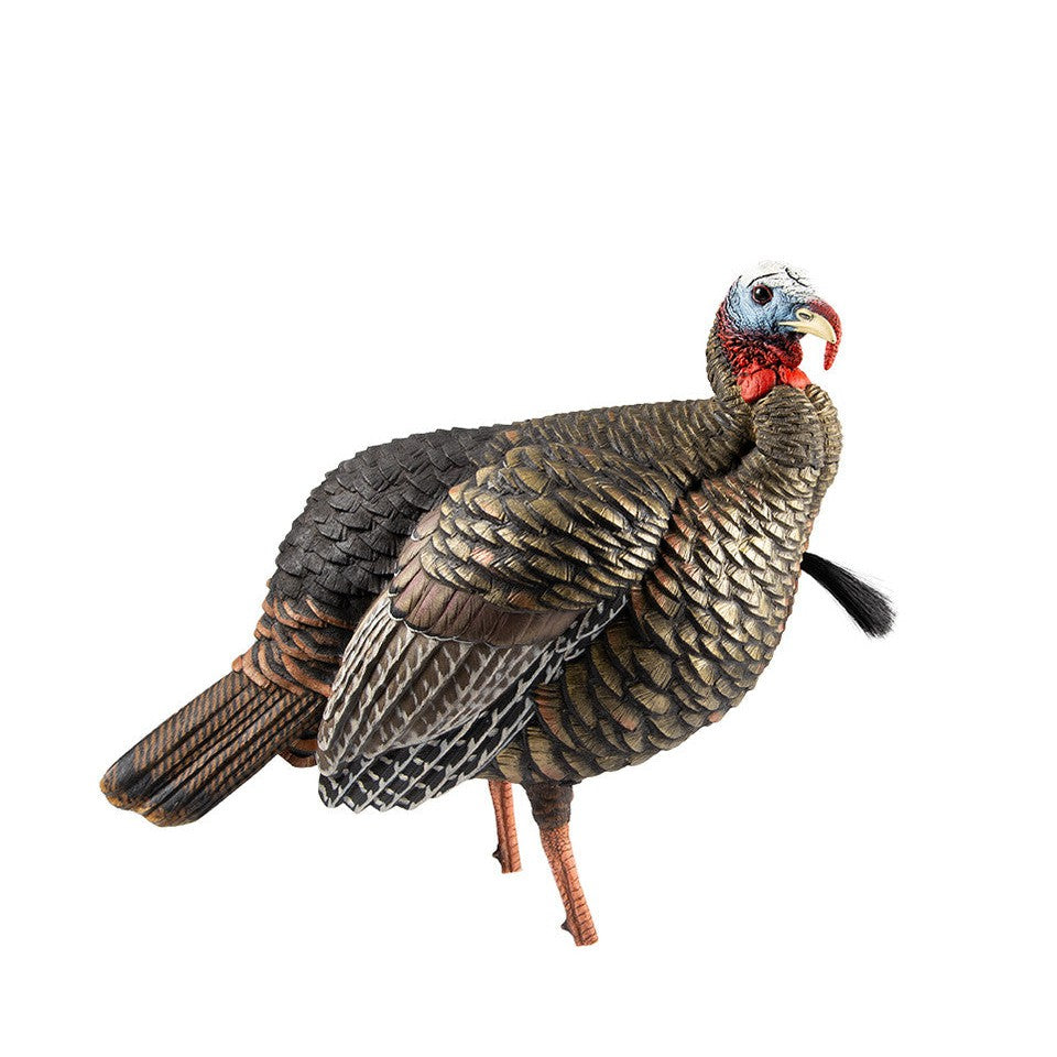 Avian AVX HDR Jake Decoy-Hunting/Outdoors-Kevin's Fine Outdoor Gear & Apparel