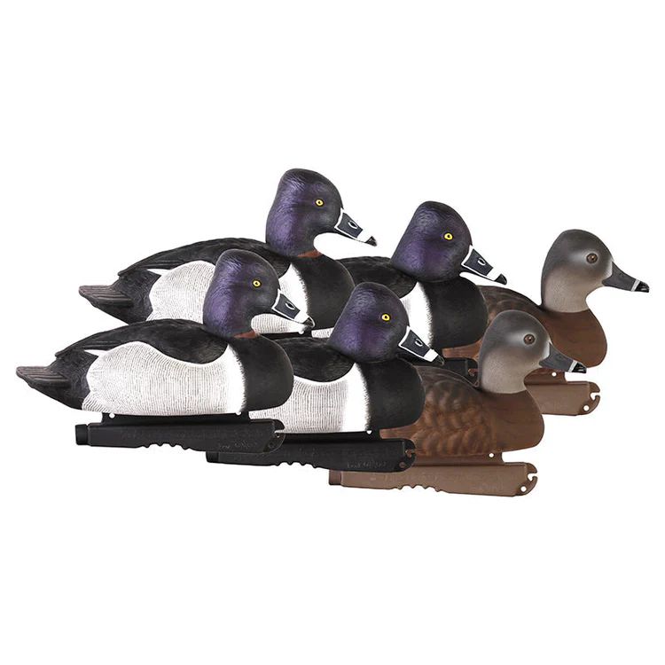 GHG Pro Grade Ring Neck Duck Decoys-Hunting/Outdoors-Kevin's Fine Outdoor Gear & Apparel