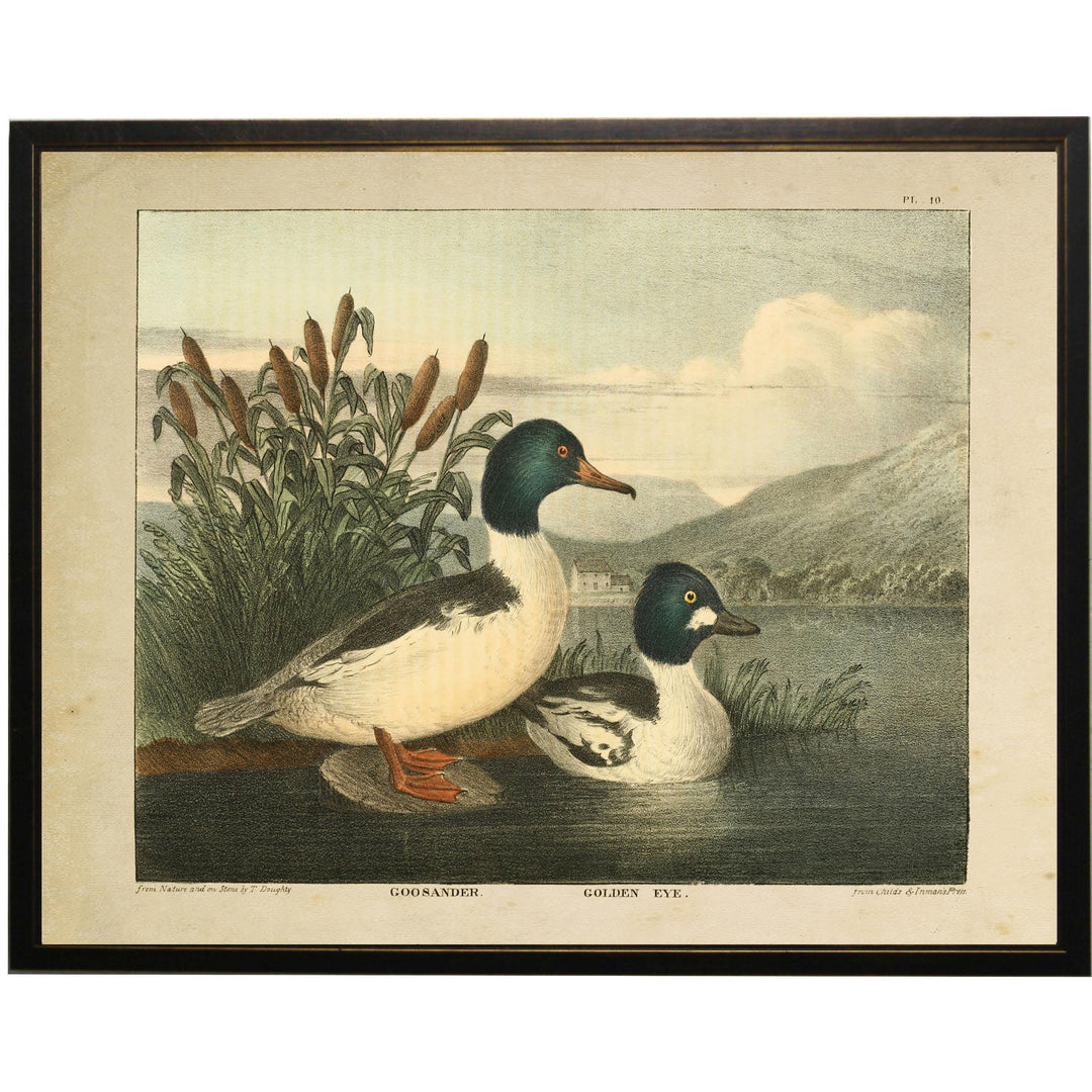 Vintage Ducks Framed Print-Kevin's Fine Outdoor Gear & Apparel