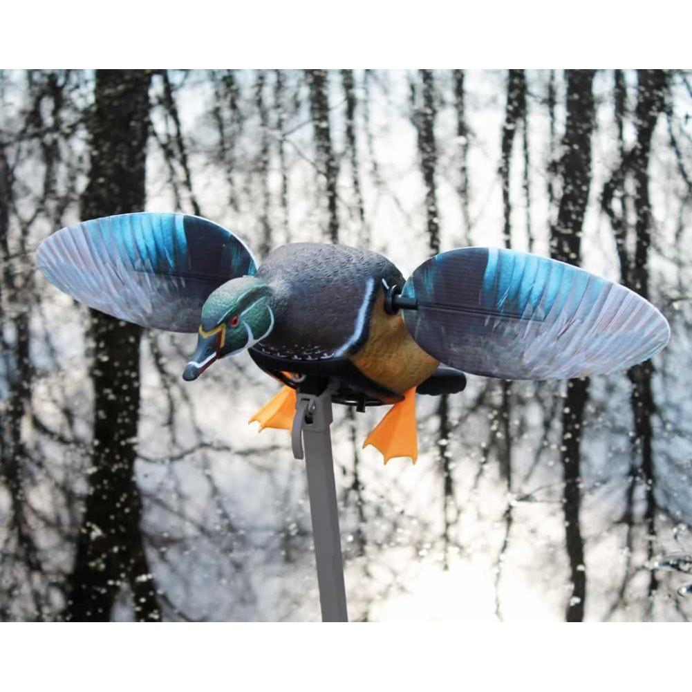 MOJO Elite Series Wood Duck Decoy-Hunting/Outdoors-Kevin's Fine Outdoor Gear & Apparel