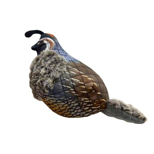 ROCT Outdoor Dog Toys-Pet Supply-Quail-Kevin's Fine Outdoor Gear & Apparel