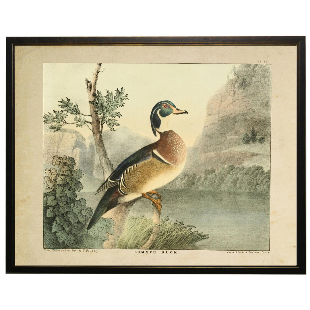 Vintage Wood Duck Framed Print-Home/Giftware-16" x 20"-Kevin's Fine Outdoor Gear & Apparel
