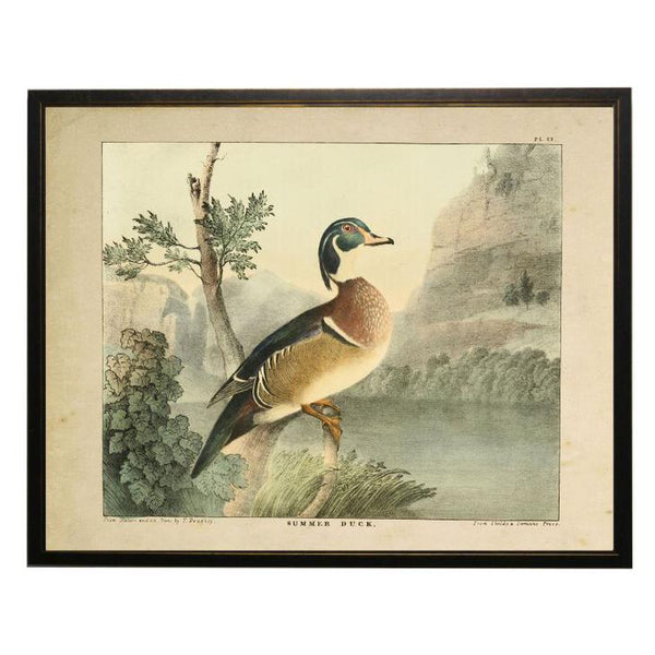 Vintage Wood Duck Framed Print – Kevin's Fine Outdoor Gear & Apparel