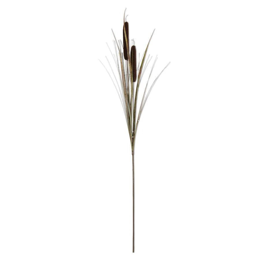 42" Double Cattail Stem-Home/Giftware-Dark Brown-Kevin's Fine Outdoor Gear & Apparel