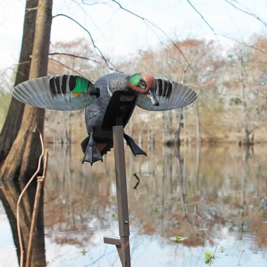MOJO Elite Series Green Wing Teal-Hunting/Outdoors-Kevin's Fine Outdoor Gear & Apparel