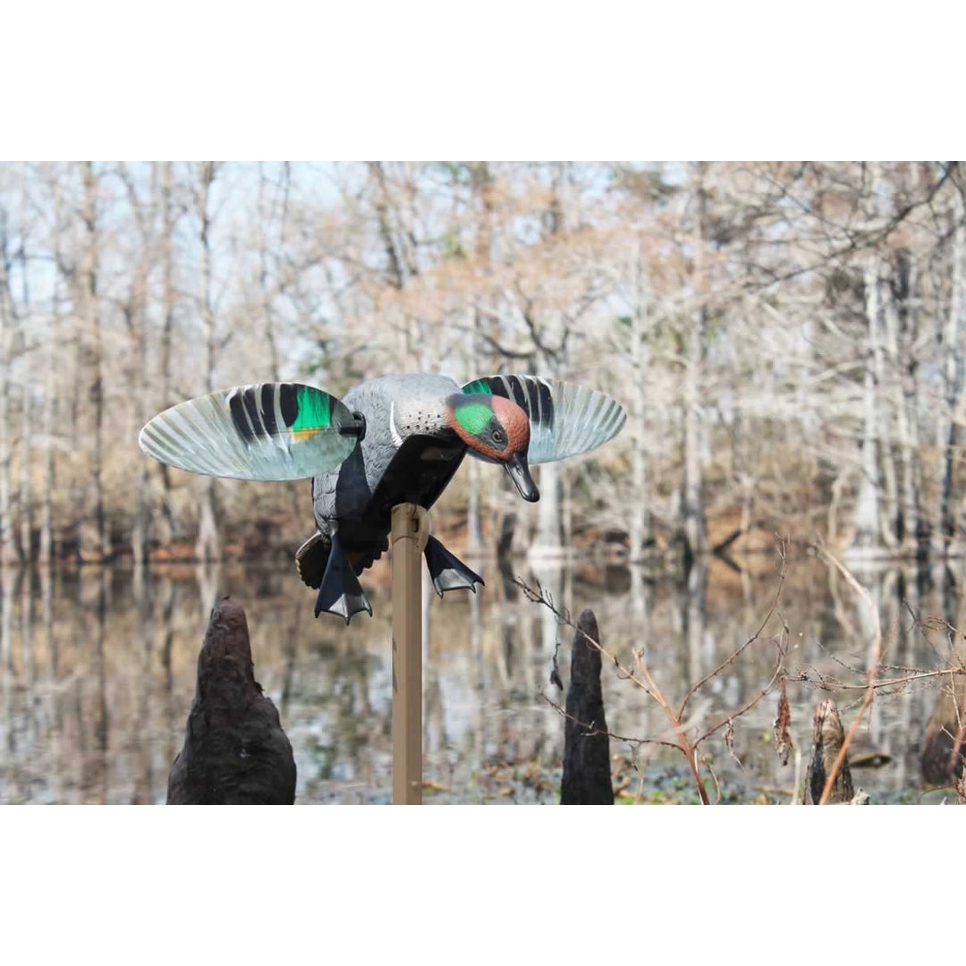 MOJO Elite Series Green Wing Teal - Remote Ready-Hunting/Outdoors-Kevin's Fine Outdoor Gear & Apparel