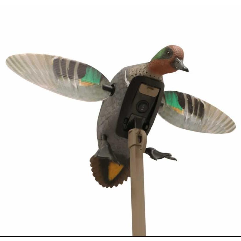 MOJO Elite Series Green Wing Teal-Hunting/Outdoors-Kevin's Fine Outdoor Gear & Apparel