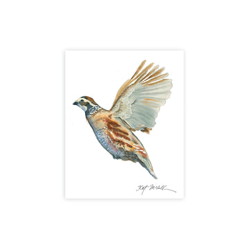 Kat McCall 8" x 10" Game Bird Prints-Home/Giftware-Quail in Flight-Kevin's Fine Outdoor Gear & Apparel