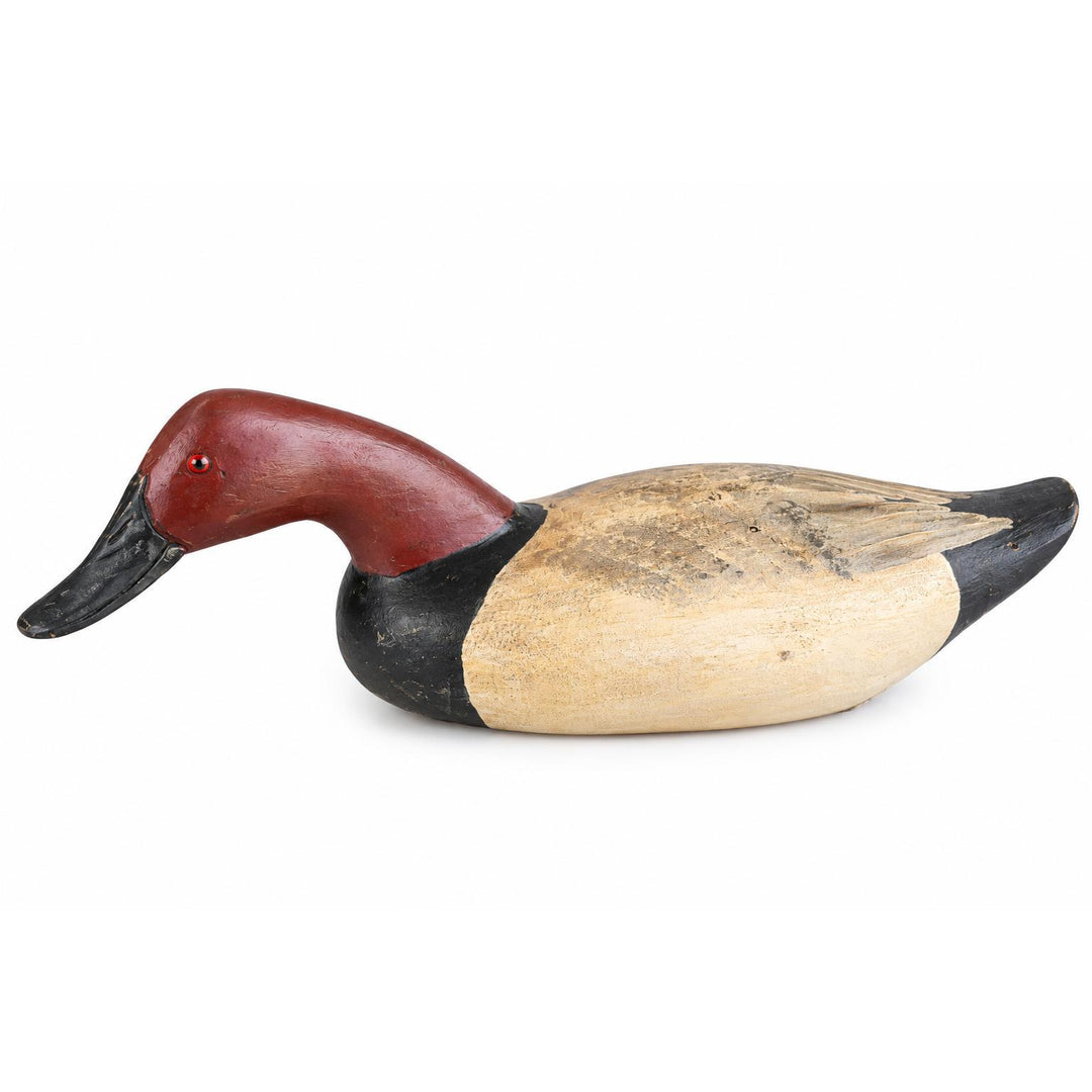 Hand Carved Canvas Back Duck Decoy