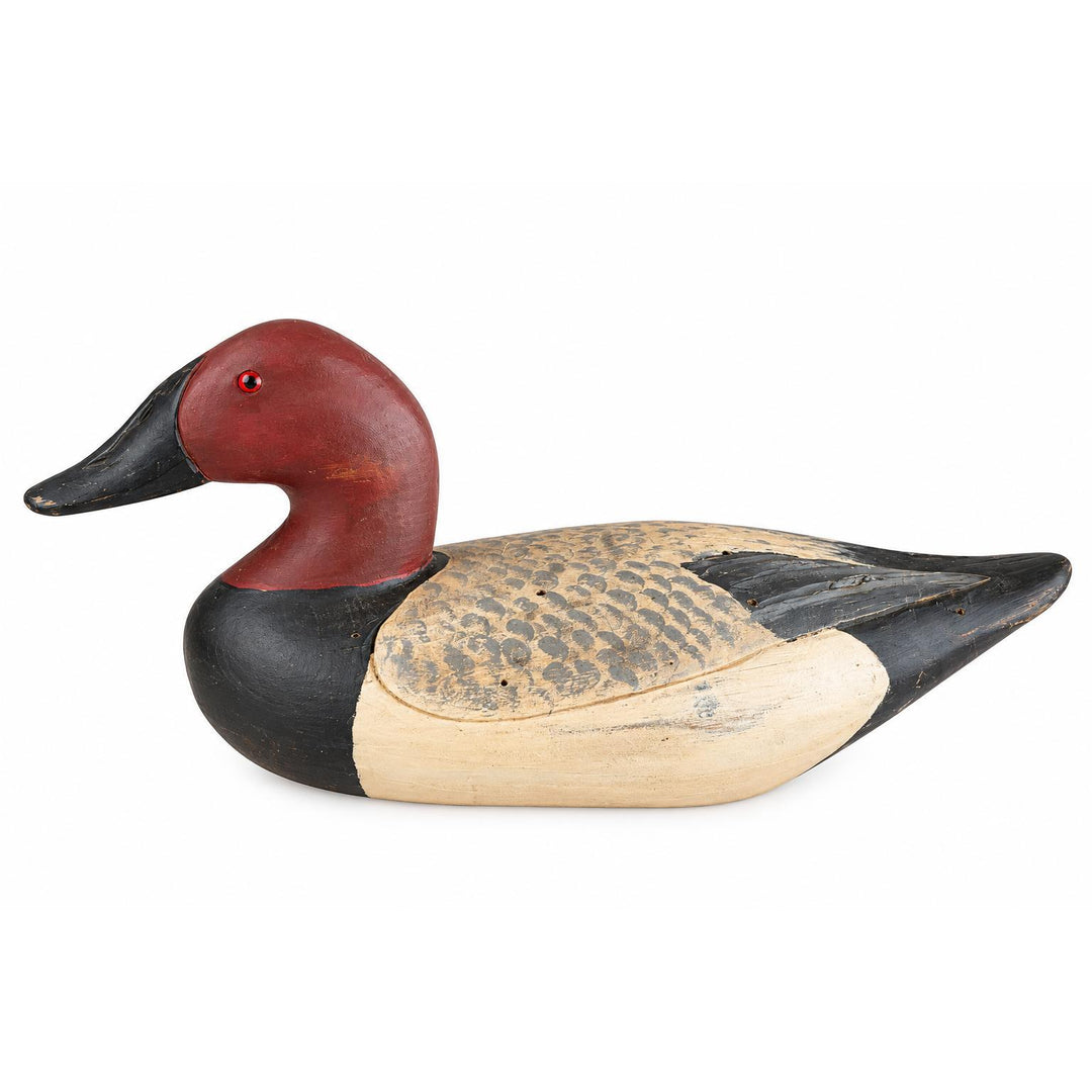 Hand Carved Canvas Back Duck Decoy
