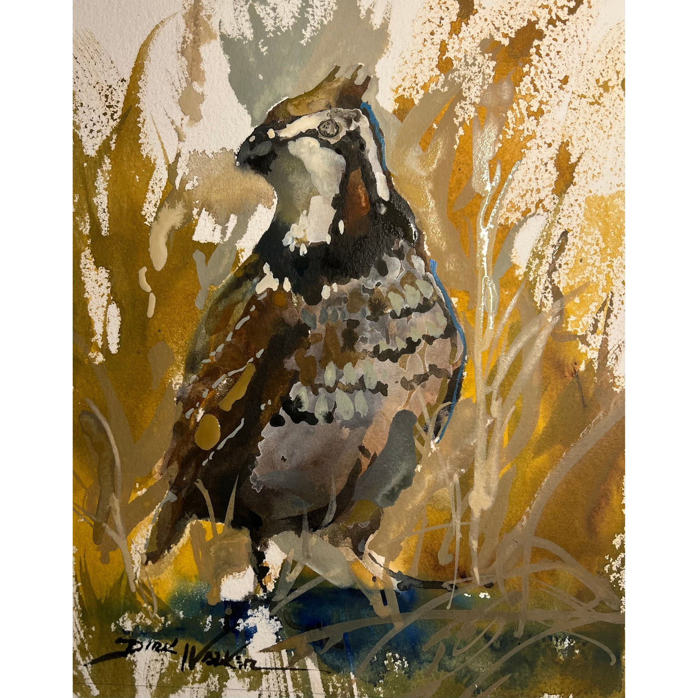 "South Georgia Bobwhite Quail" Painting by Dirk Walker-Home/Giftware-Kevin's Fine Outdoor Gear & Apparel