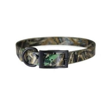 Sunglo Dog Collar - 1"-Pet Supply-Max-5-19"-Kevin's Fine Outdoor Gear & Apparel